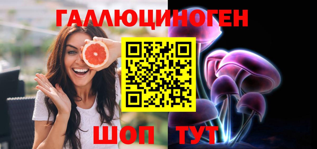 Камышин  Галлюциногенные грибы прущие грибы  Вход с VPN 